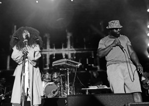 Erykah Badu and The Roots Live at Roots Picnic 2015, Photo by Mel D. Cole