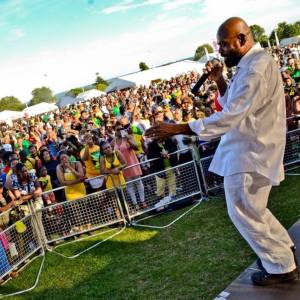 00-stitchie wordpress