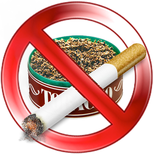can you bring chewing tobacco to jamaica MAGGIE Original Jamaican nicotine pouches Authentic taste Vmc Tequila Jamaica 700ml Can