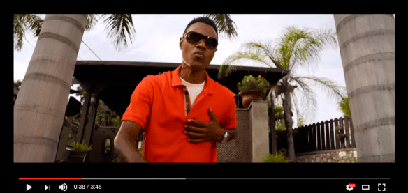 Wayne Wonder Video