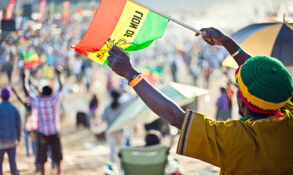 rasta-lion-cannabis-culture