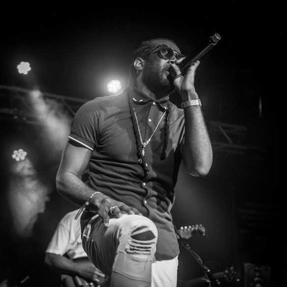 37262622_1726259034120253_1421132024579620864_o